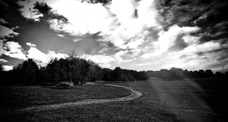 Chemin de la bergerie