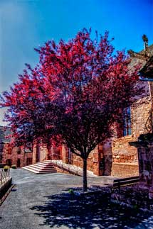 Saint Cyprien sur Dourdou