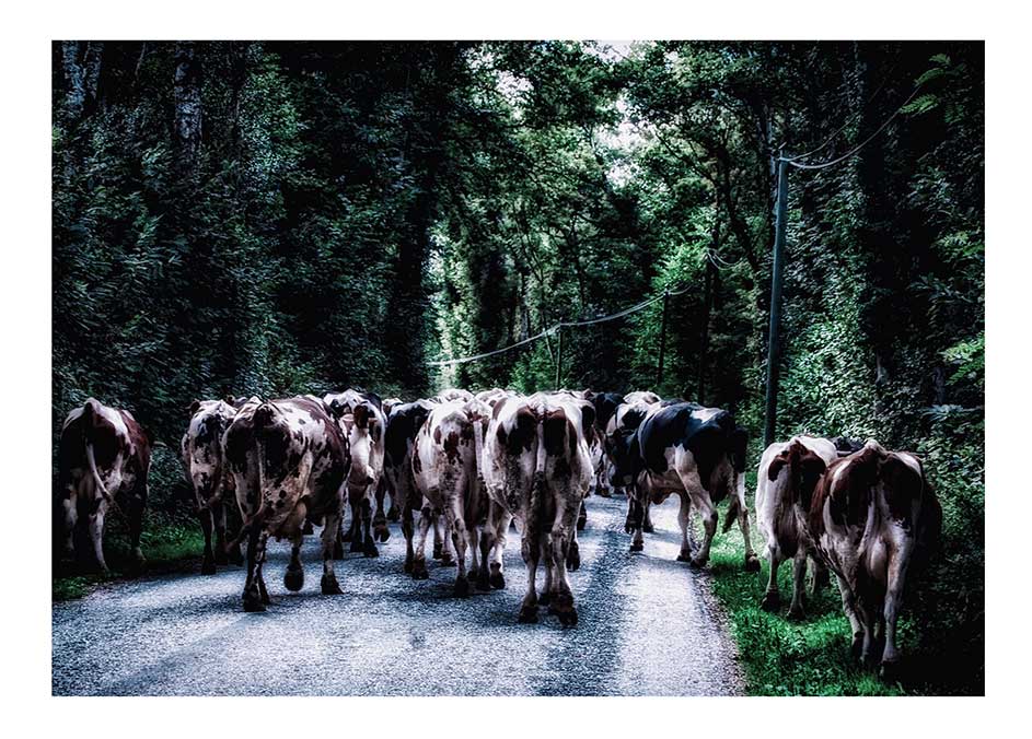 On rentre
