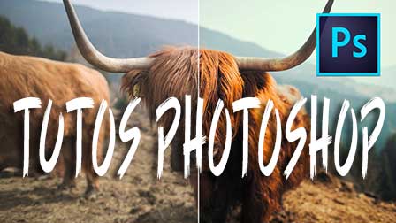 Tutoriels Photoshop